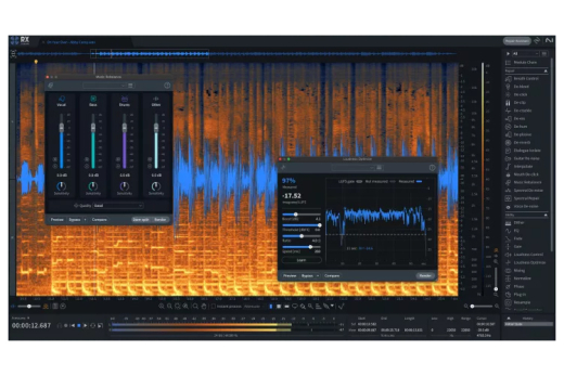 iZotope - RX 11 Standard - Download